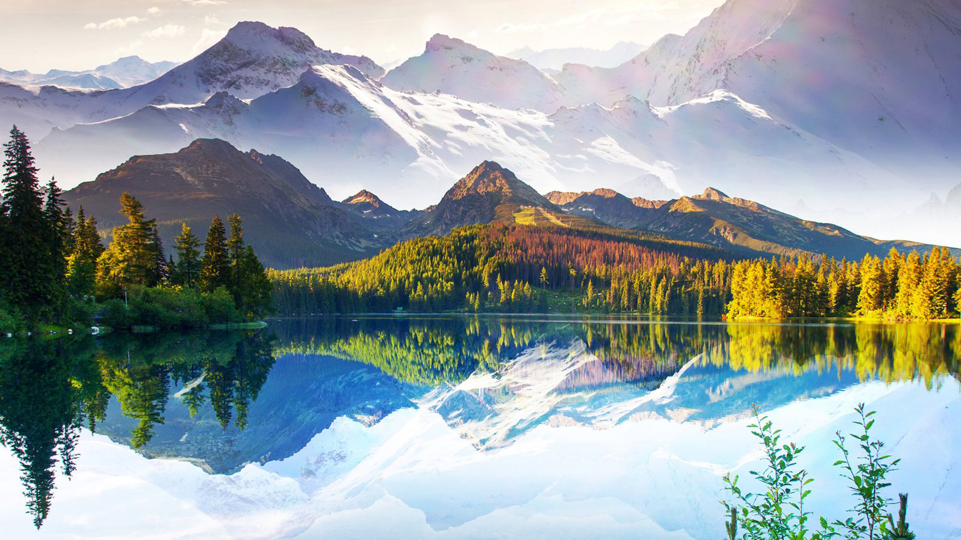 卡盟平台官网快手粉丝(卡盟平台官网快手新用户) 卡盟平台官网快手粉丝(卡盟平台官网快手新用户)