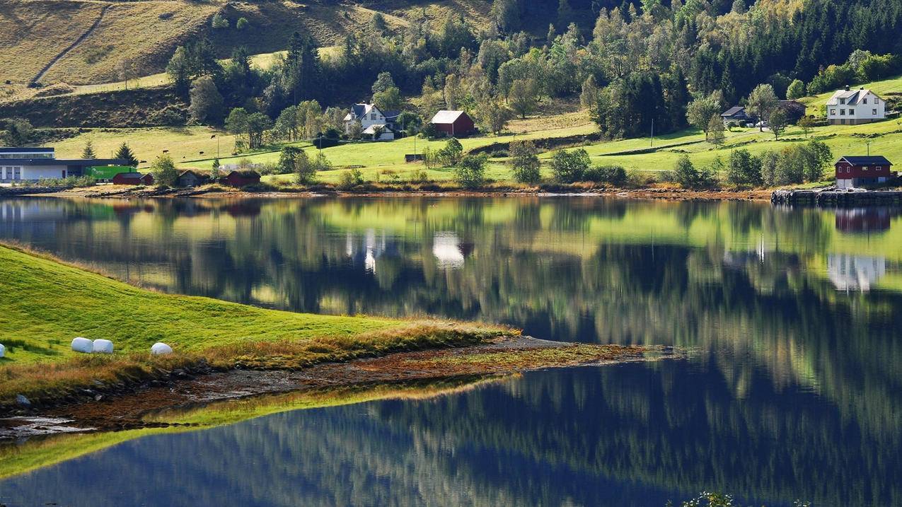 雷神代快手刷网(雷神代刷快手免费) 雷神代快手刷网(雷神代刷快手免费)