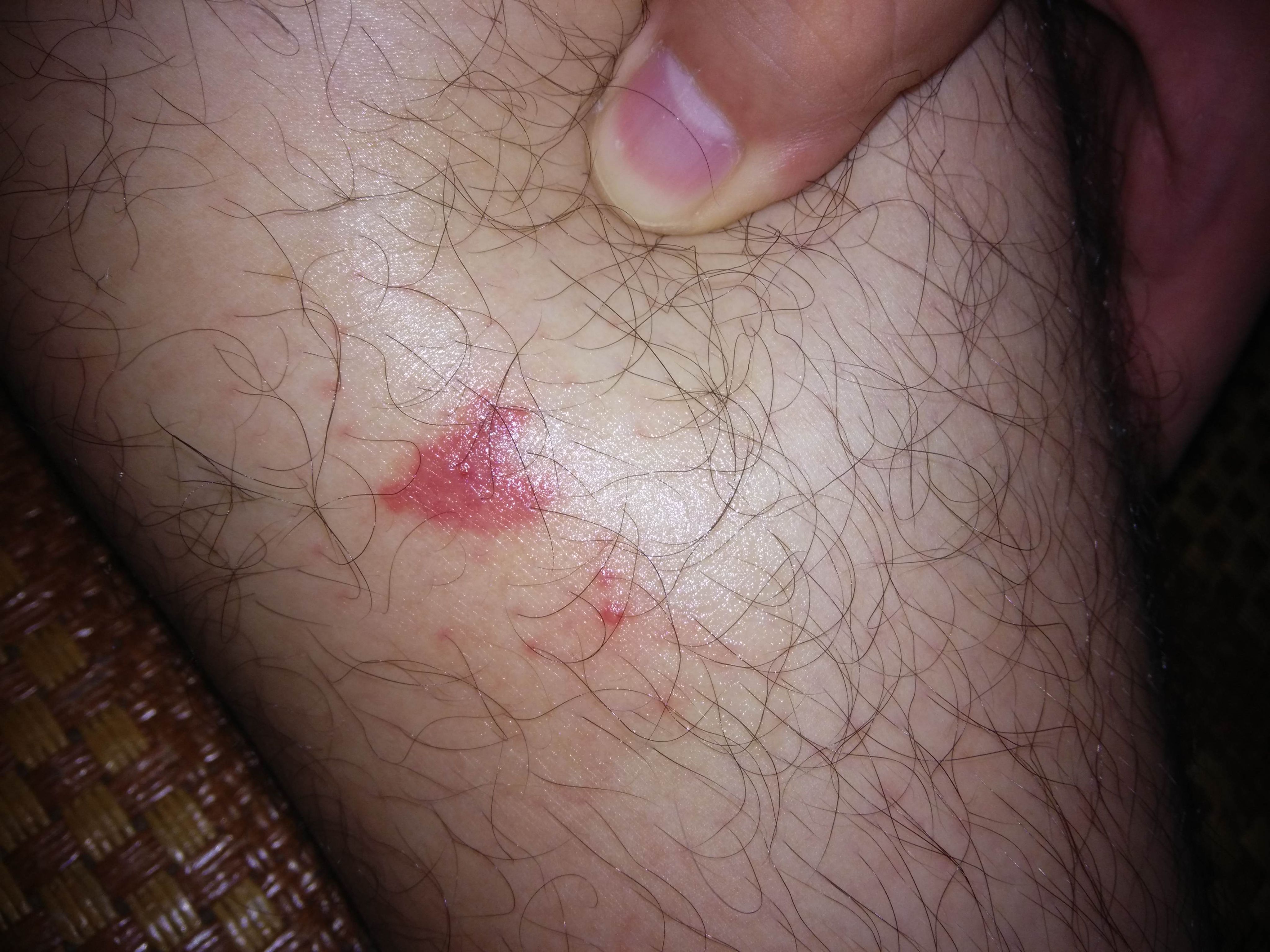 qq空间浏览(空间浏览量怎么不显示) qq空间浏览(空间浏览量怎么不显示)