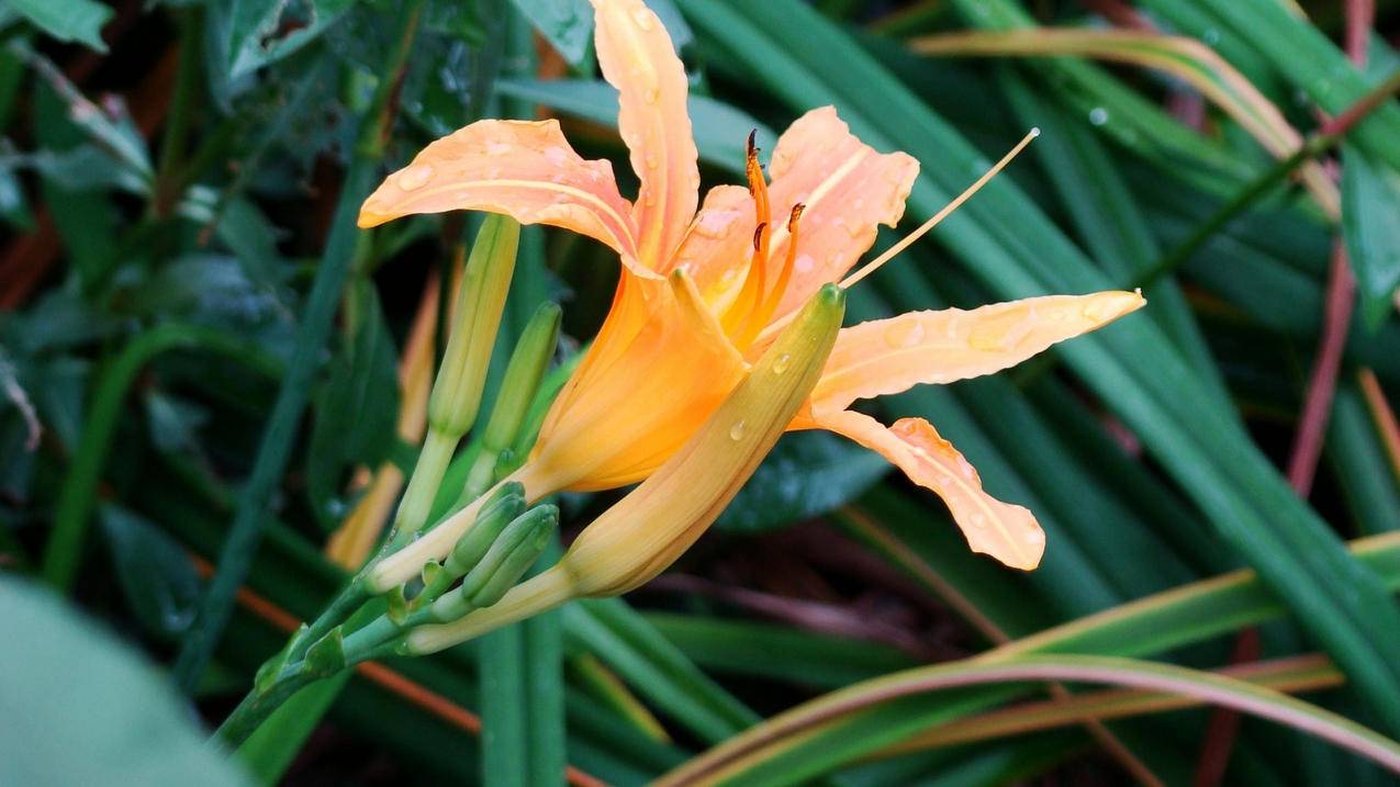 0.01一万名片赞（001一万名片赞网站）