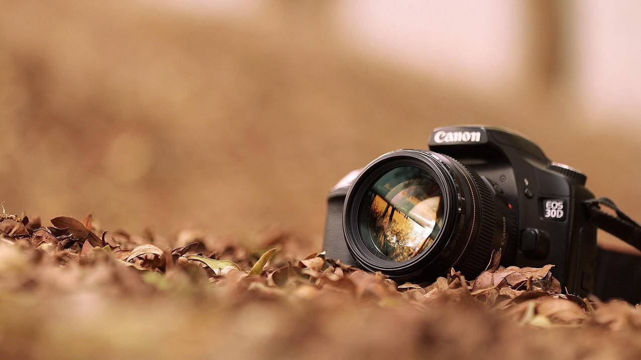 闪电代刷网（闪电代刷网网址已更换!）