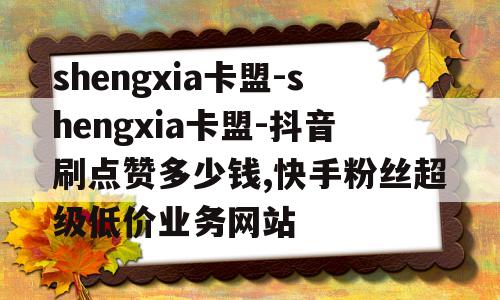 快手粉丝低价平平台（快手粉丝全网最低价网站）