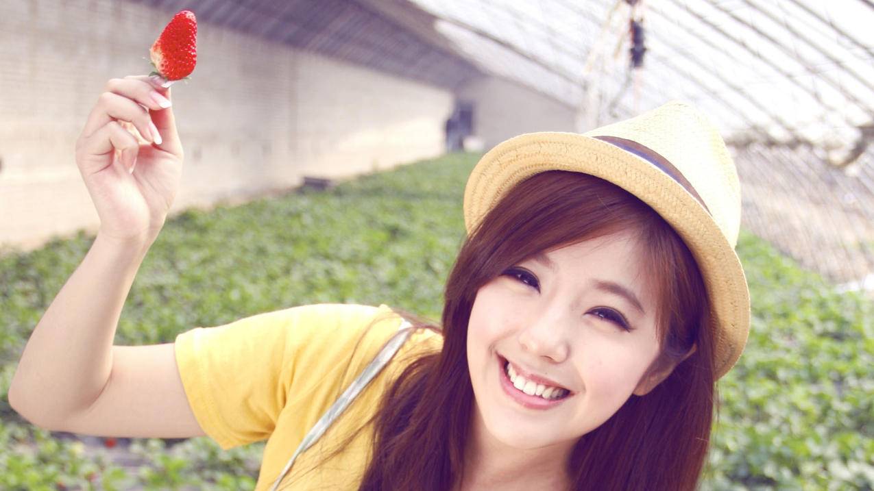 186代刷网（186代刷网免费）