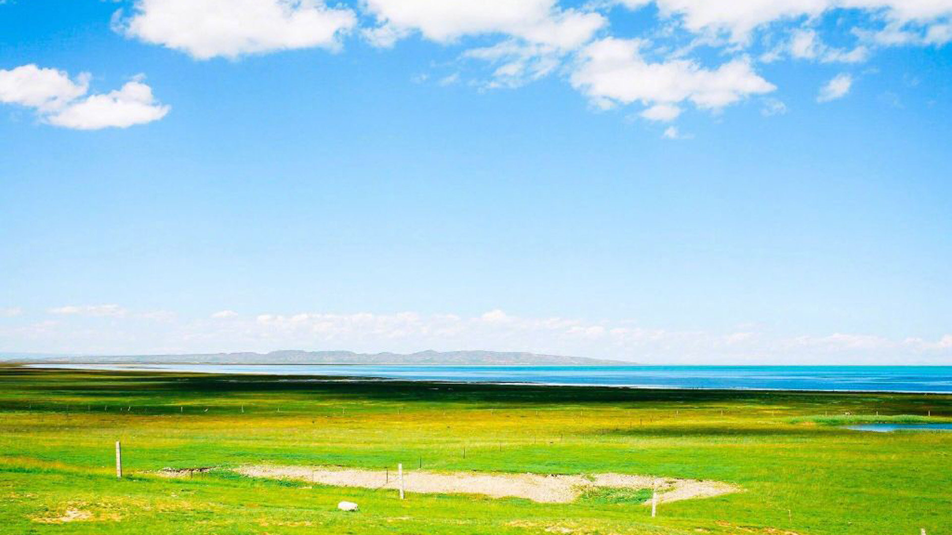 快手业务在线下单(快手业务在线下单平台) 快手业务在线下单(快手业务在线下单平台)