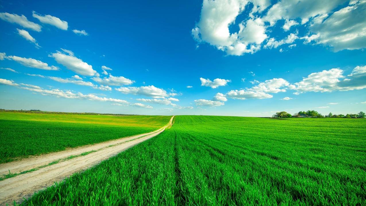 久久代刷(玖玖代刷网站多少) 久久代刷(玖玖代刷网站多少)