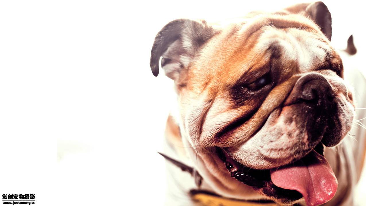 q代刷网(代刷网网课) q代刷网(代刷网网课)