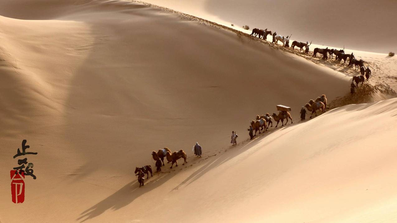 小陈代刷(小陈带刷网) 小陈代刷(小陈带刷网)