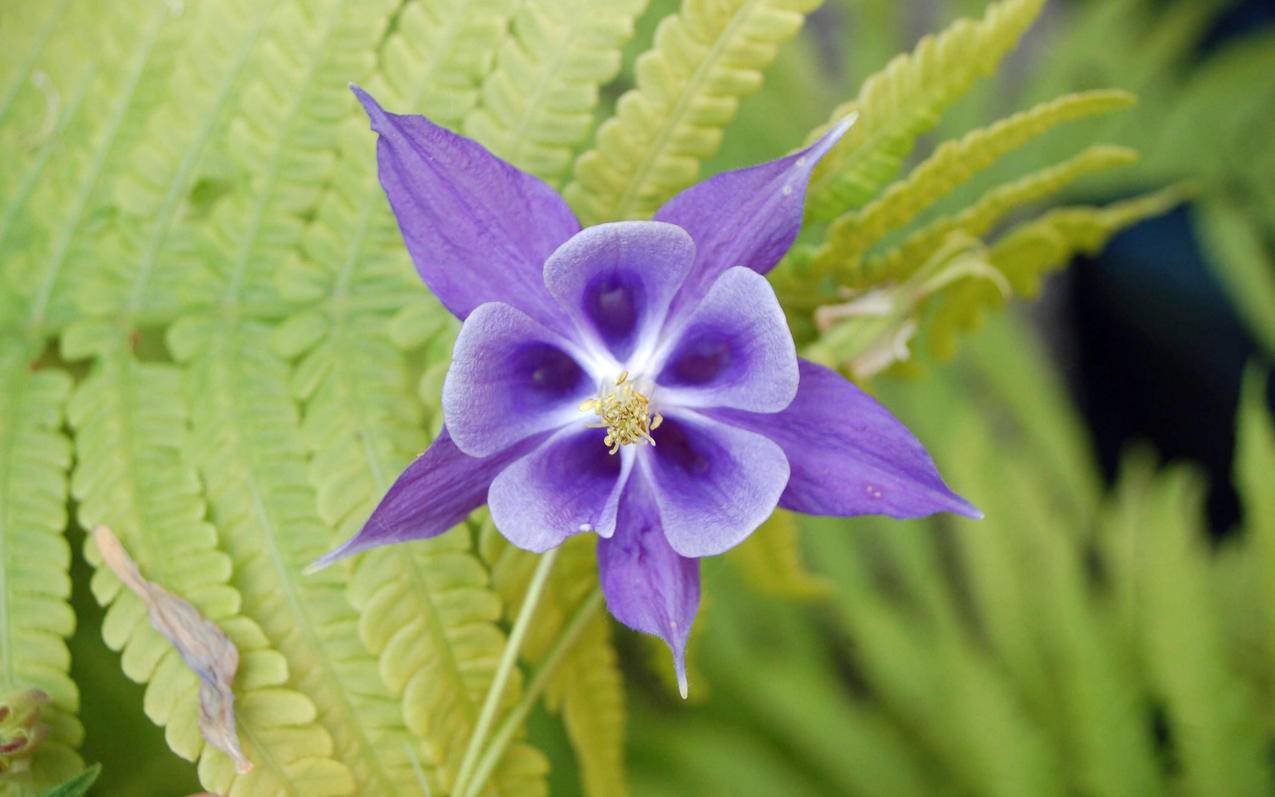 凌云代刷(凌云团队可以赚钱是真的吗) 凌云代刷(凌云团队可以赚钱是真的吗)