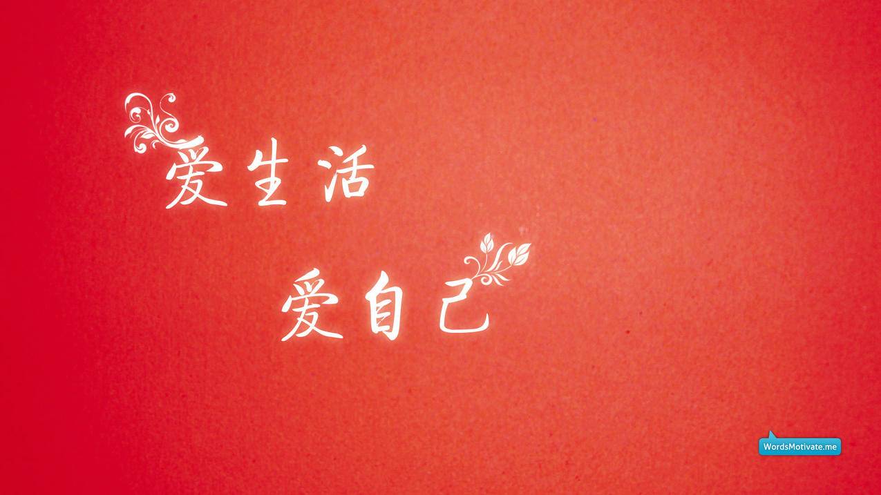 低价刷qq空间说说（低价刷空间说说50）