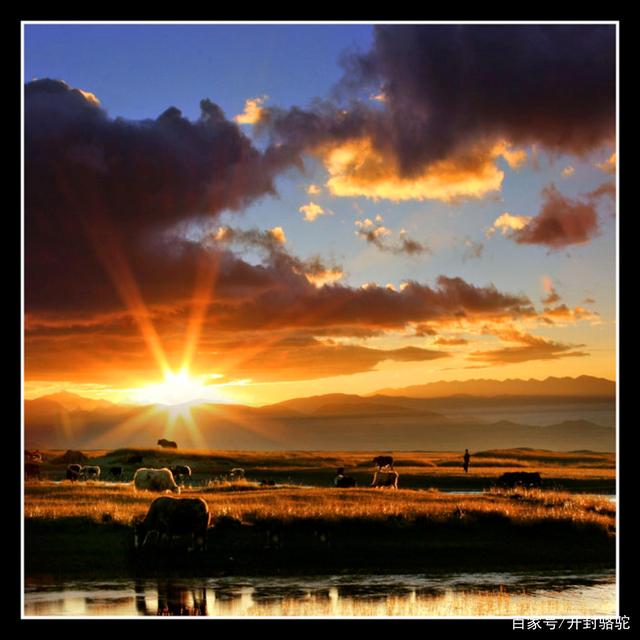 晨曦云秒赞网(91卡盟自助下单平台) 晨曦云秒赞网(91卡盟自助下单平台)