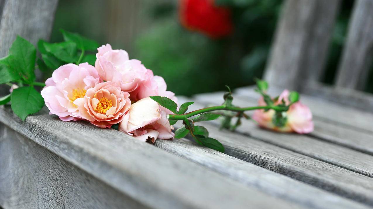 0.01元一万赞网站快手(快手1元10000赞在线网站) 0.01元一万赞网站快手(快手1元10000赞在线网站)