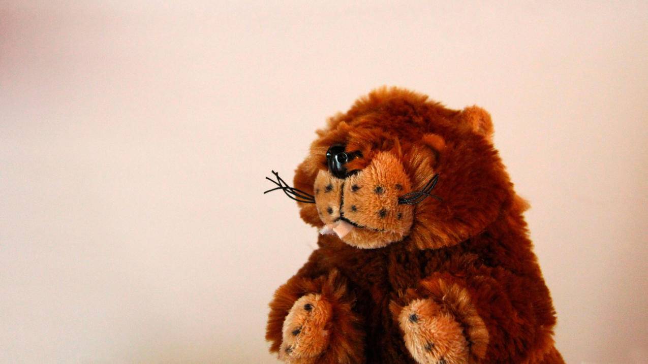 代刷网小晨（小晨免费代刷）