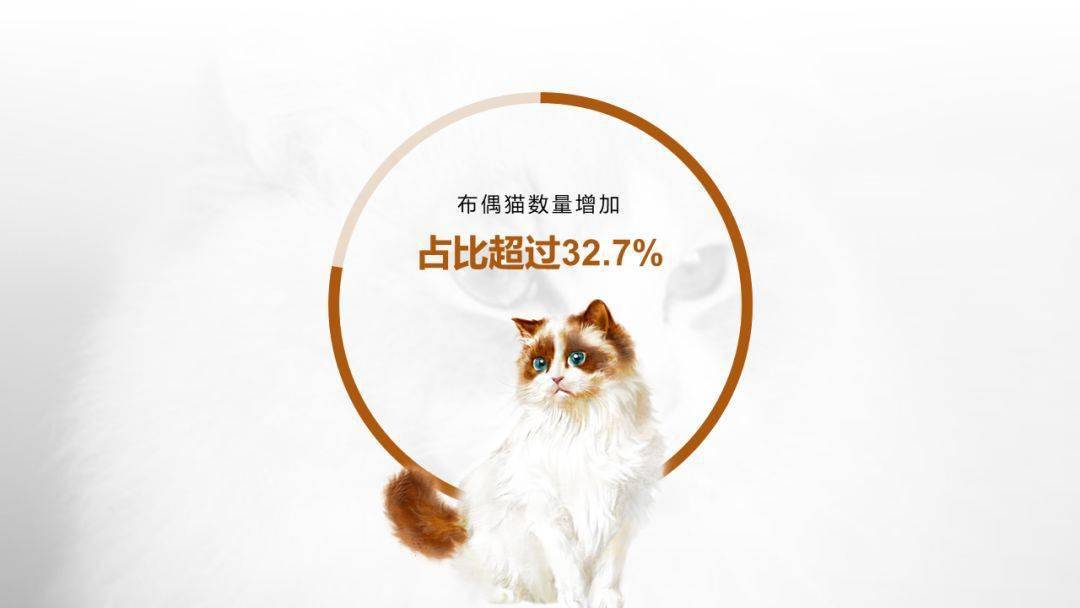 傻瓜代刷(代刷神器下载) 傻瓜代刷(代刷神器下载)