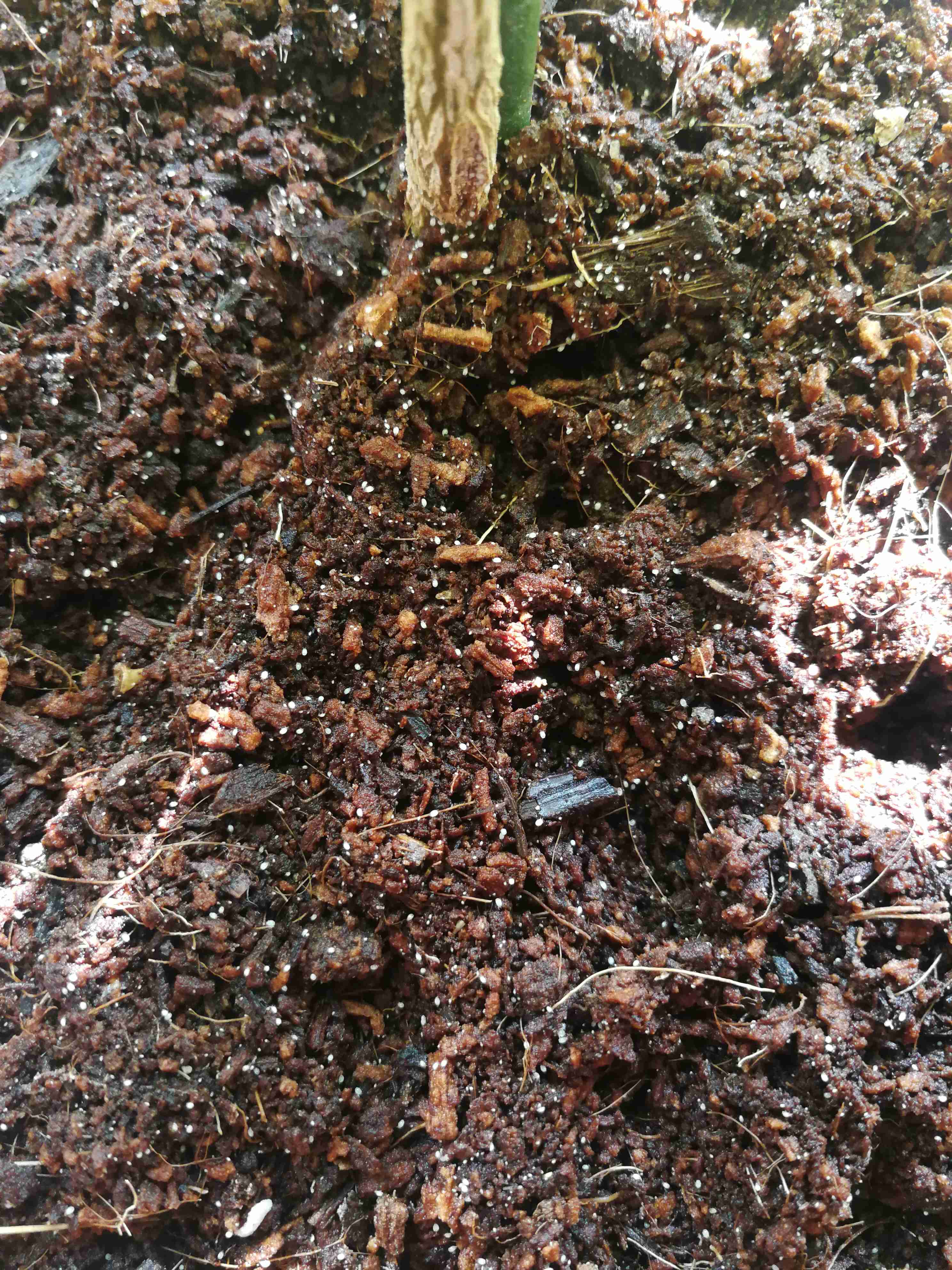 QQ买空间赞（空间 买赞）