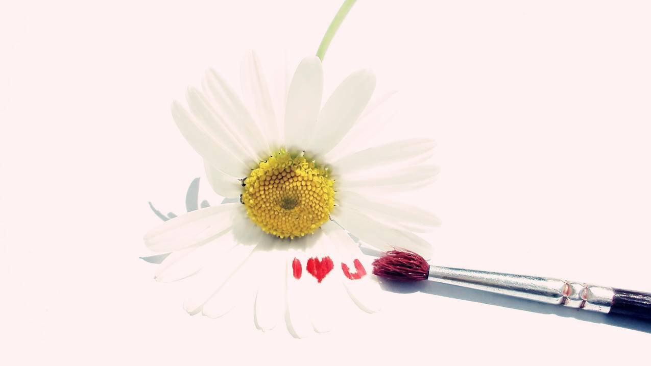 刷赞网站推广作品的简单介绍 刷赞网站推广作品的简单介绍