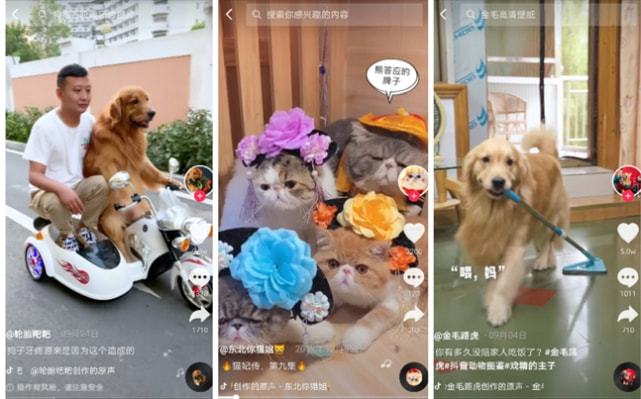 快手赞低价网站（快手赞全网最低价网站2020）