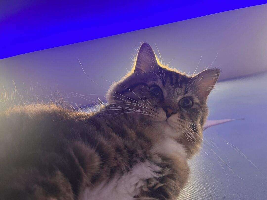 代刷小老弟(中国的小老弟) 代刷小老弟(中国的小老弟)