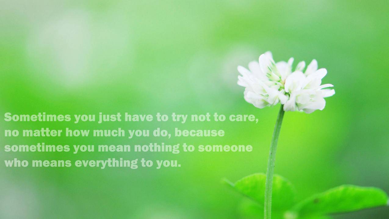 qq代刷网站推广(代刷网站推广有风险吗) qq代刷网站推广(代刷网站推广有风险吗)