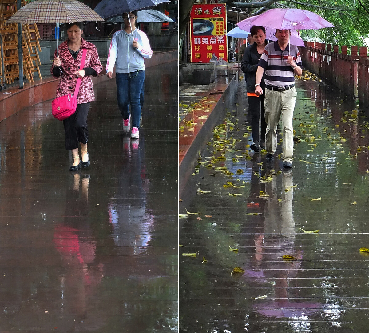 故雨代刷网（代刷网软件生成最新）