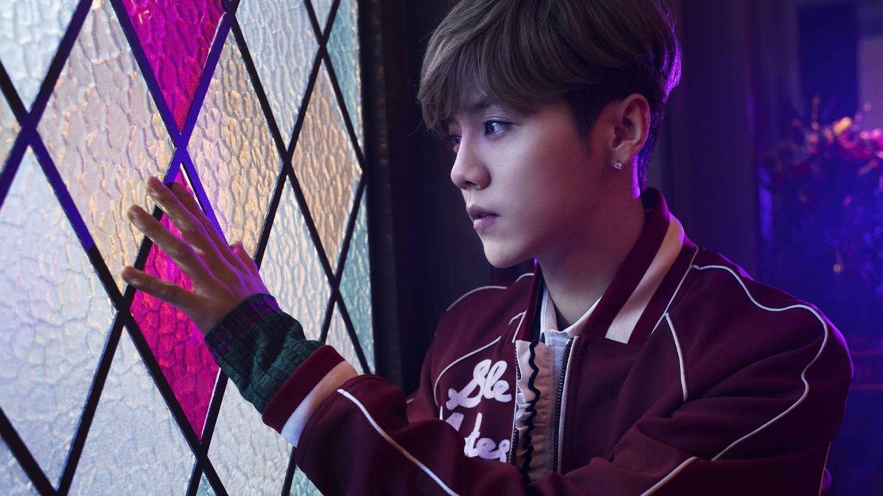 包含晨男刷业务平台的词条