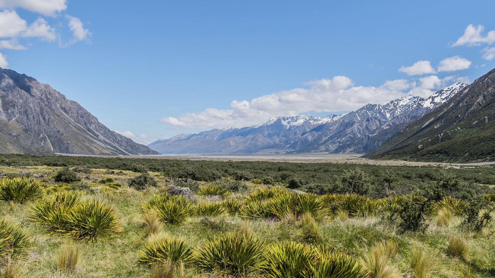卡盟快手代刷网（快手卡盟24小时在线下单平台）