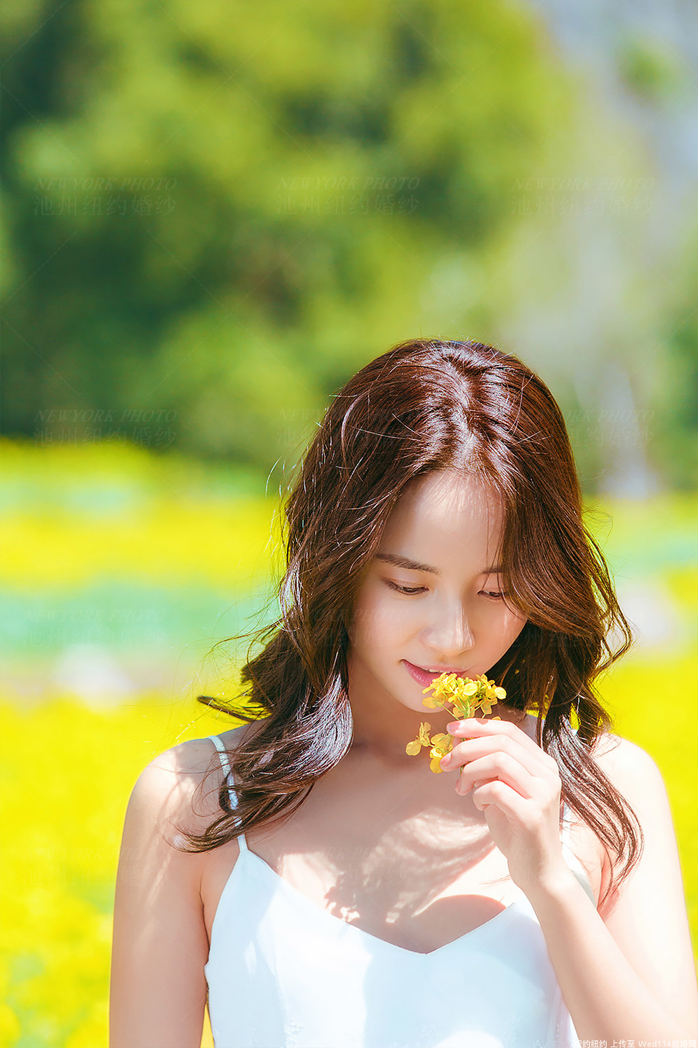 阡陌代刷网（代刷网教程博客）