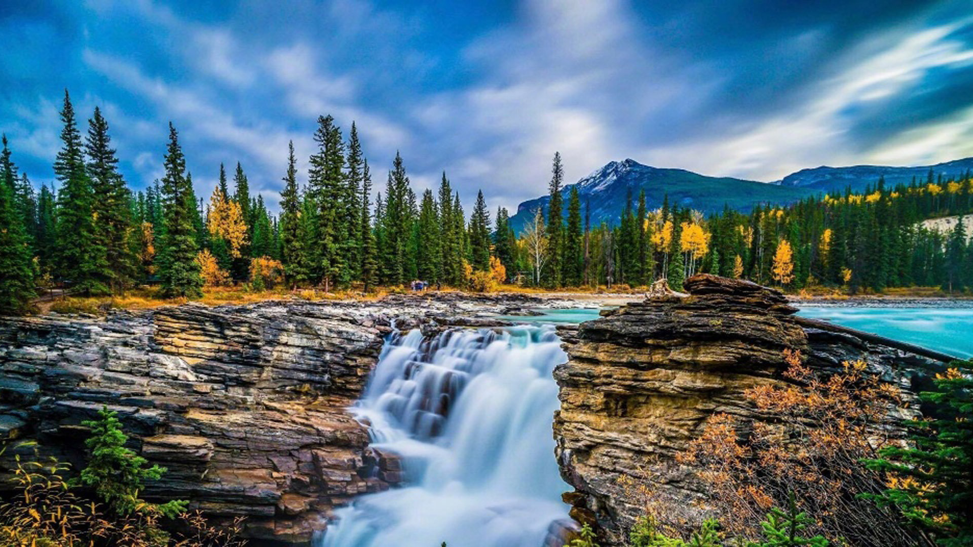 代刷网在线（代刷网在线投票）