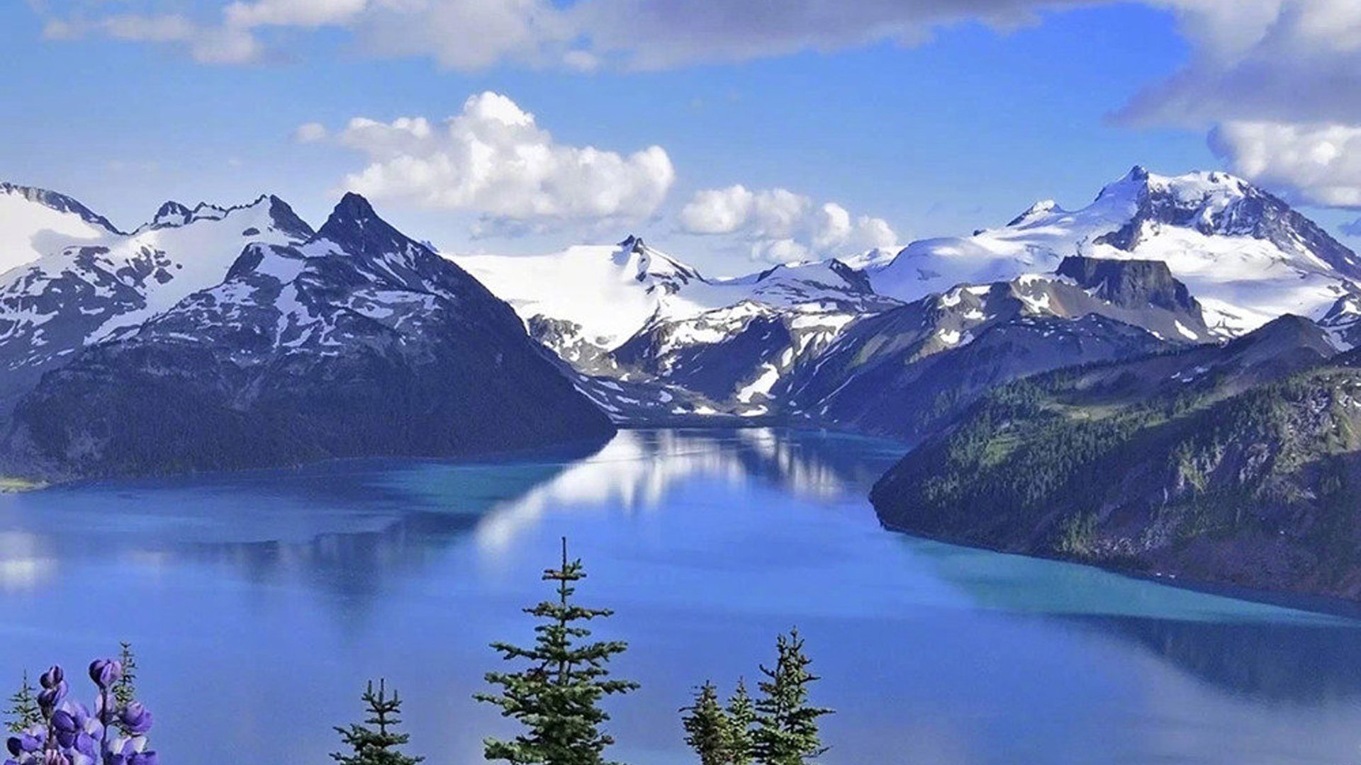 快手代刷全网最低的简单介绍 快手代刷全网最低的简单介绍