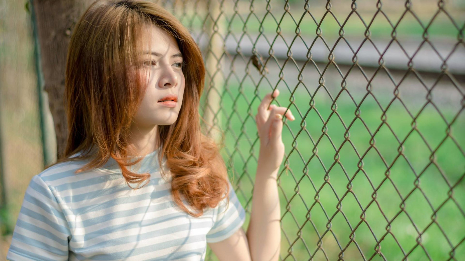 包含小林速刷网的词条