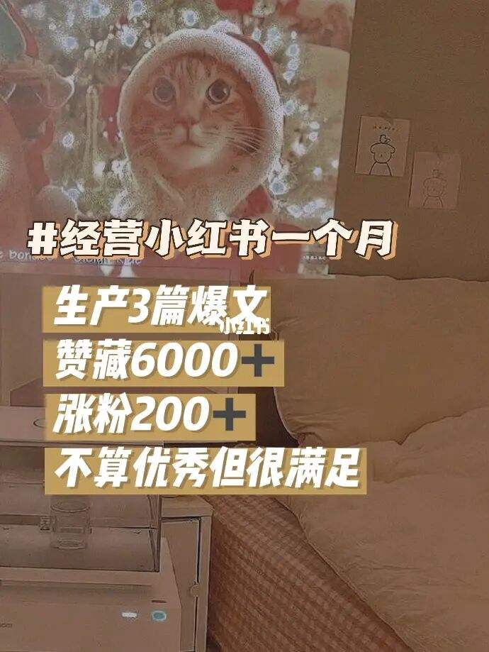 免费领1000赞网站（免费领取2000赞网站）