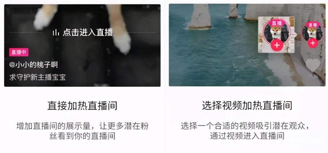 快手粉丝低价下单的简单介绍