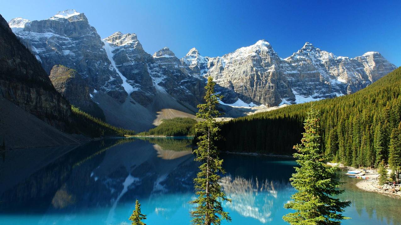 包含QQ刷赞个性驿站的词条 包含QQ刷赞个性驿站的词条