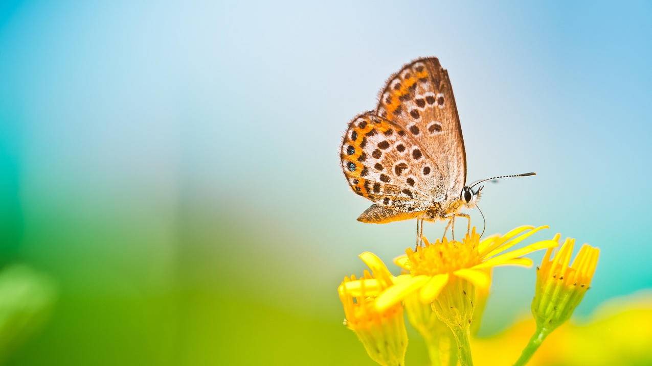 94刷赞网的简单介绍 94刷赞网的简单介绍