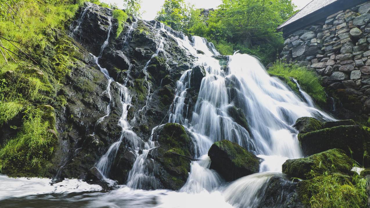 包含子豪刷赞网平台的词条