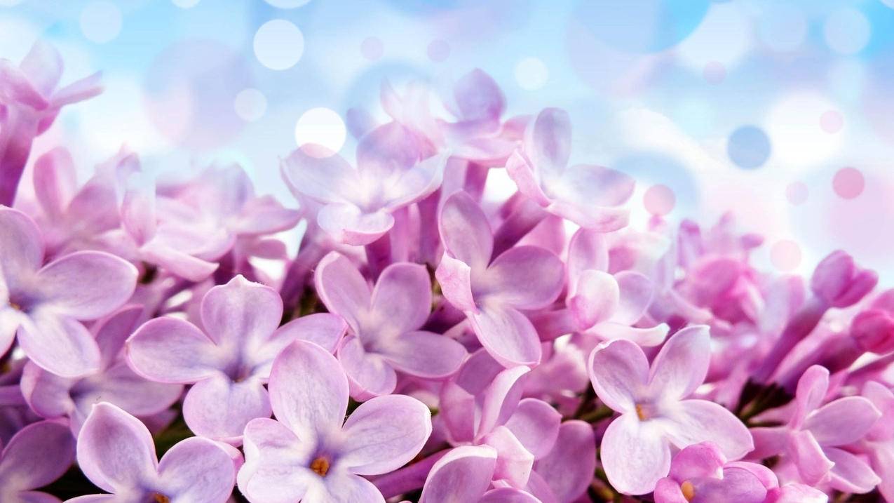 低价刷快手双击免费网站(低价刷快手双击免费网站有哪些) 低价刷快手双击免费网站(低价刷快手双击免费网站有哪些)