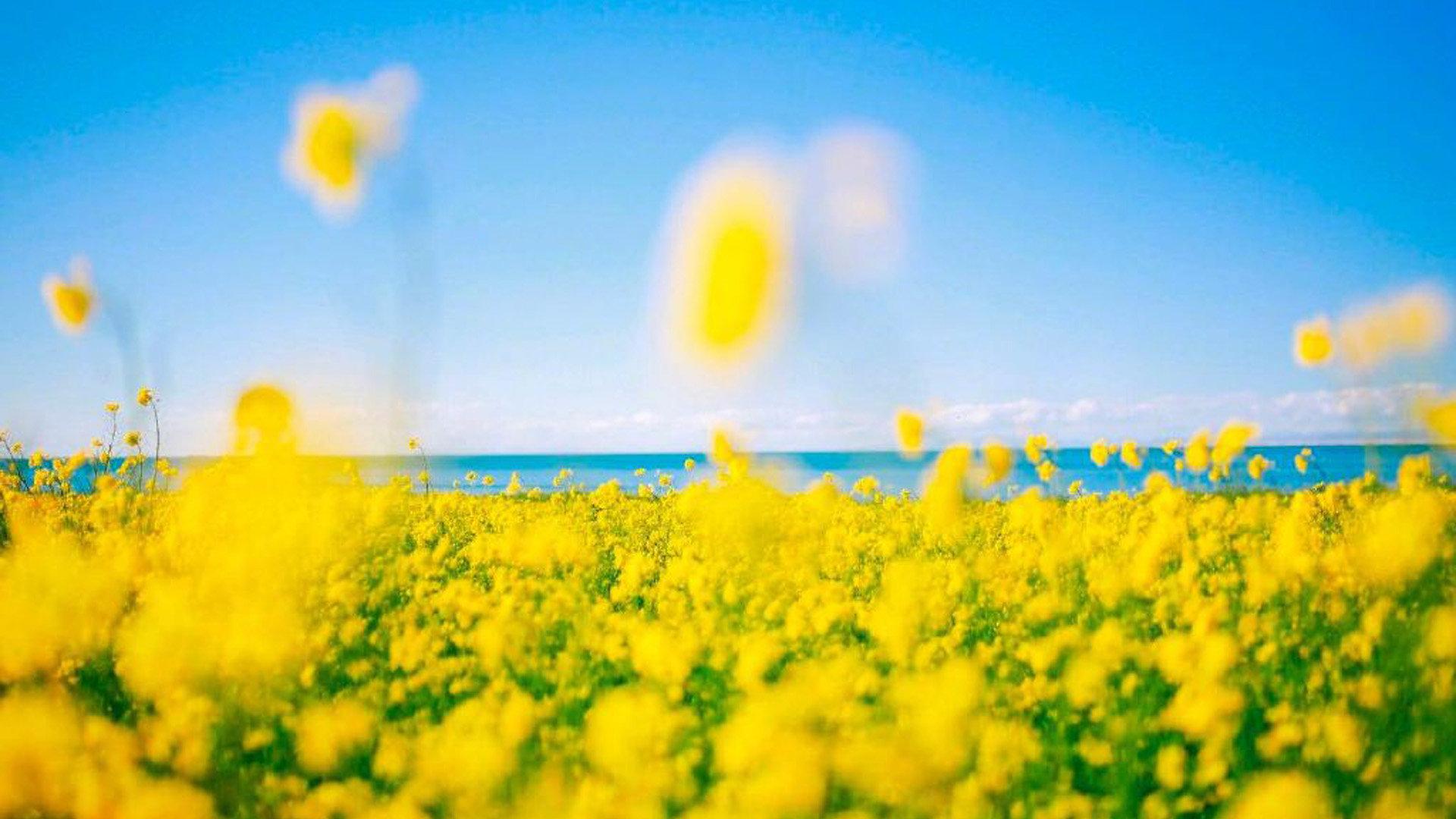 天天代刷网（代刷网好做吗）