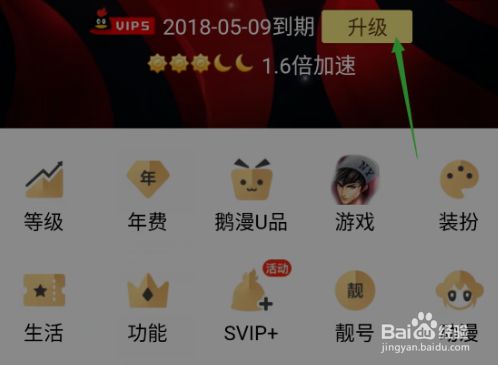 qq代刷svip永久网站(代刷网永久vip是真的吗) qq代刷svip永久网站(代刷网永久vip是真的吗)