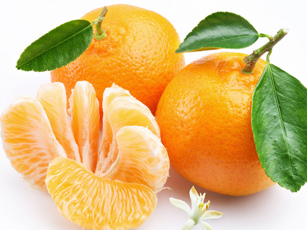 桔子代刷网(橘子代充会封号吗) 桔子代刷网(橘子代充会封号吗)