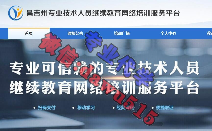 代刷平台（业务网自助下单）