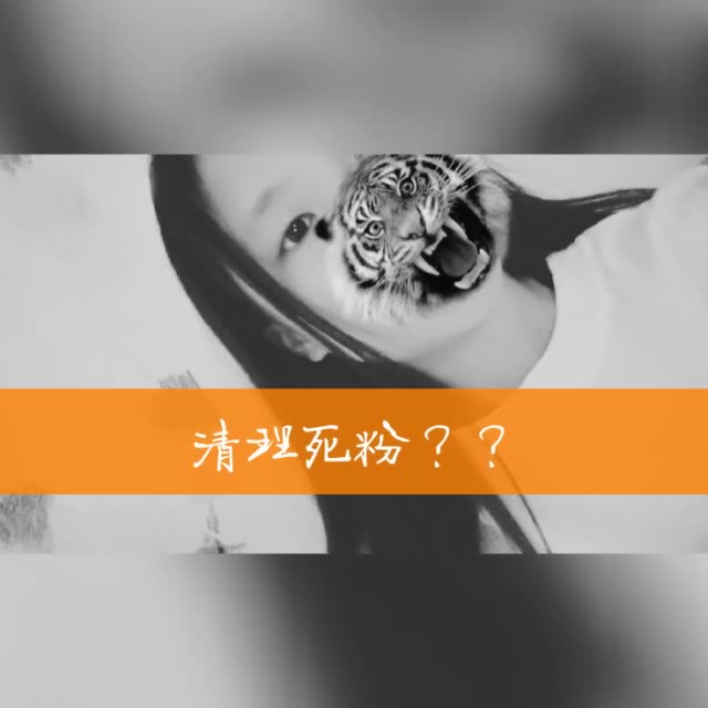 秒刷快手死粉（刷快手死粉不掉粉）