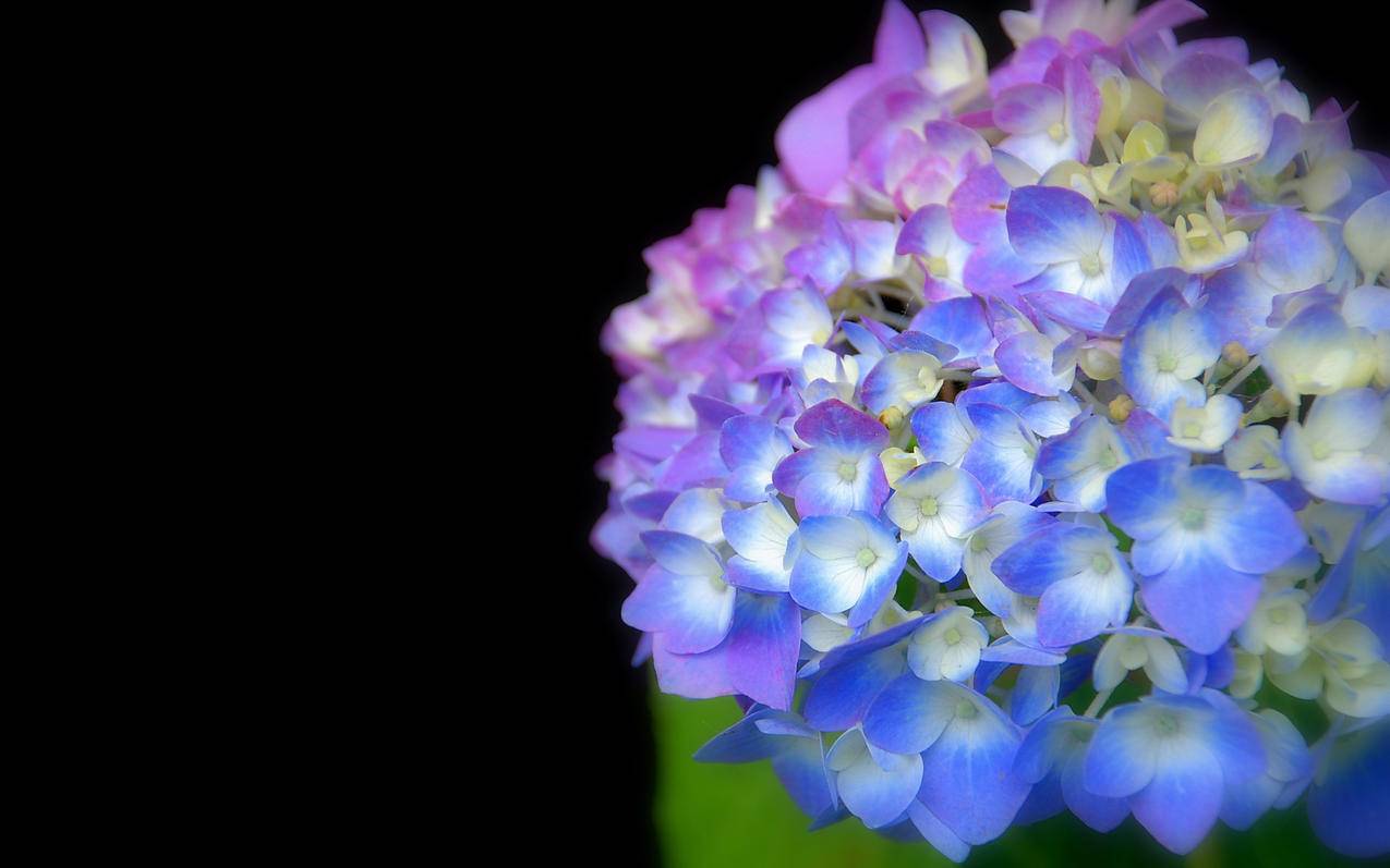 dy全网最低代刷(全网最低价代刷网址) dy全网最低代刷(全网最低价代刷网址)