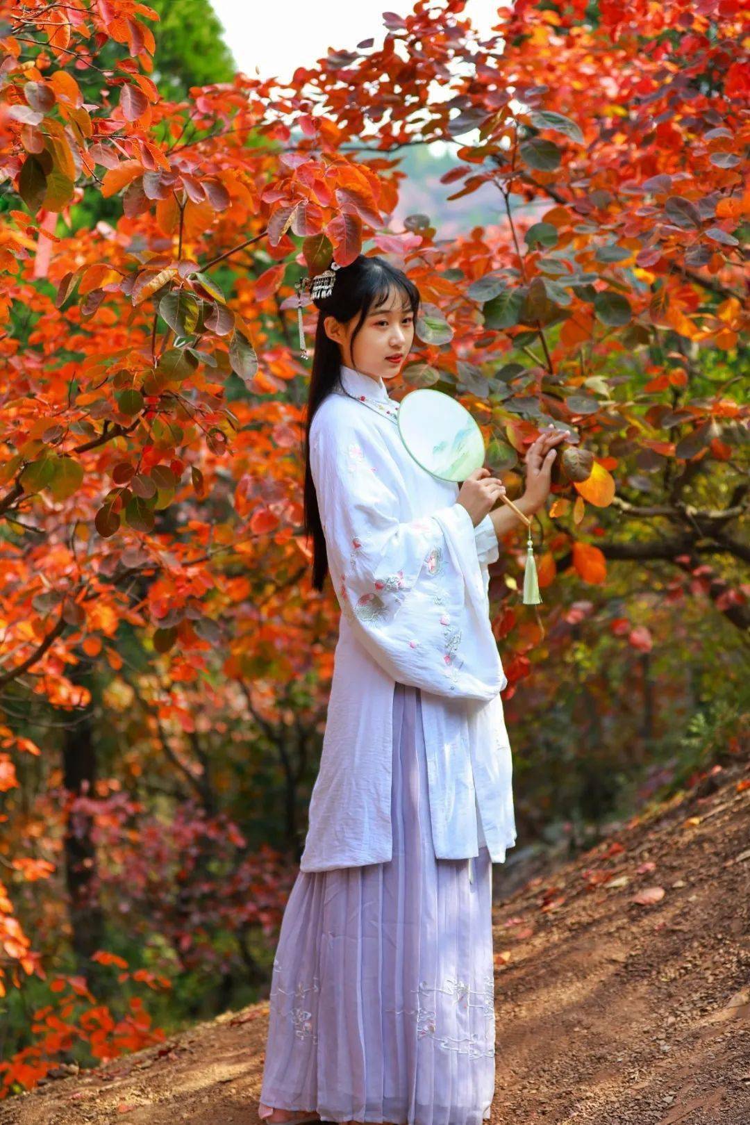 潇潇速刷（潇潇怎么用）