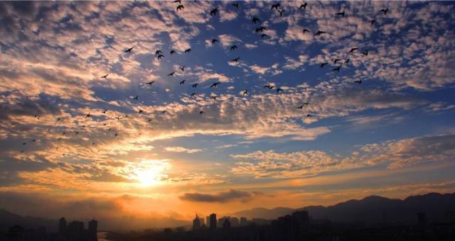 晨曦刷网站(晨曦网络科技) 晨曦刷网站(晨曦网络科技)