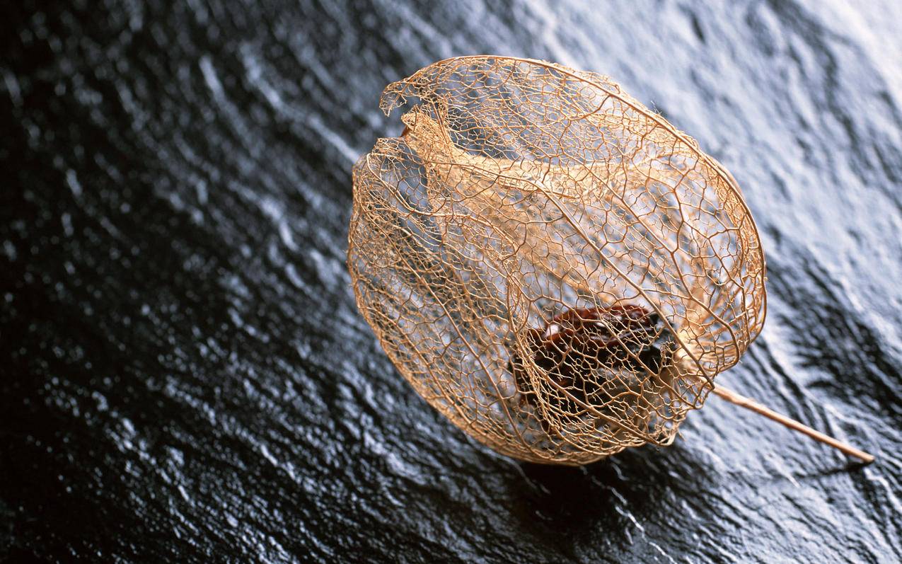 包含嘉乐代刷网站1块100粉丝的词条 包含嘉乐代刷网站1块100粉丝的词条