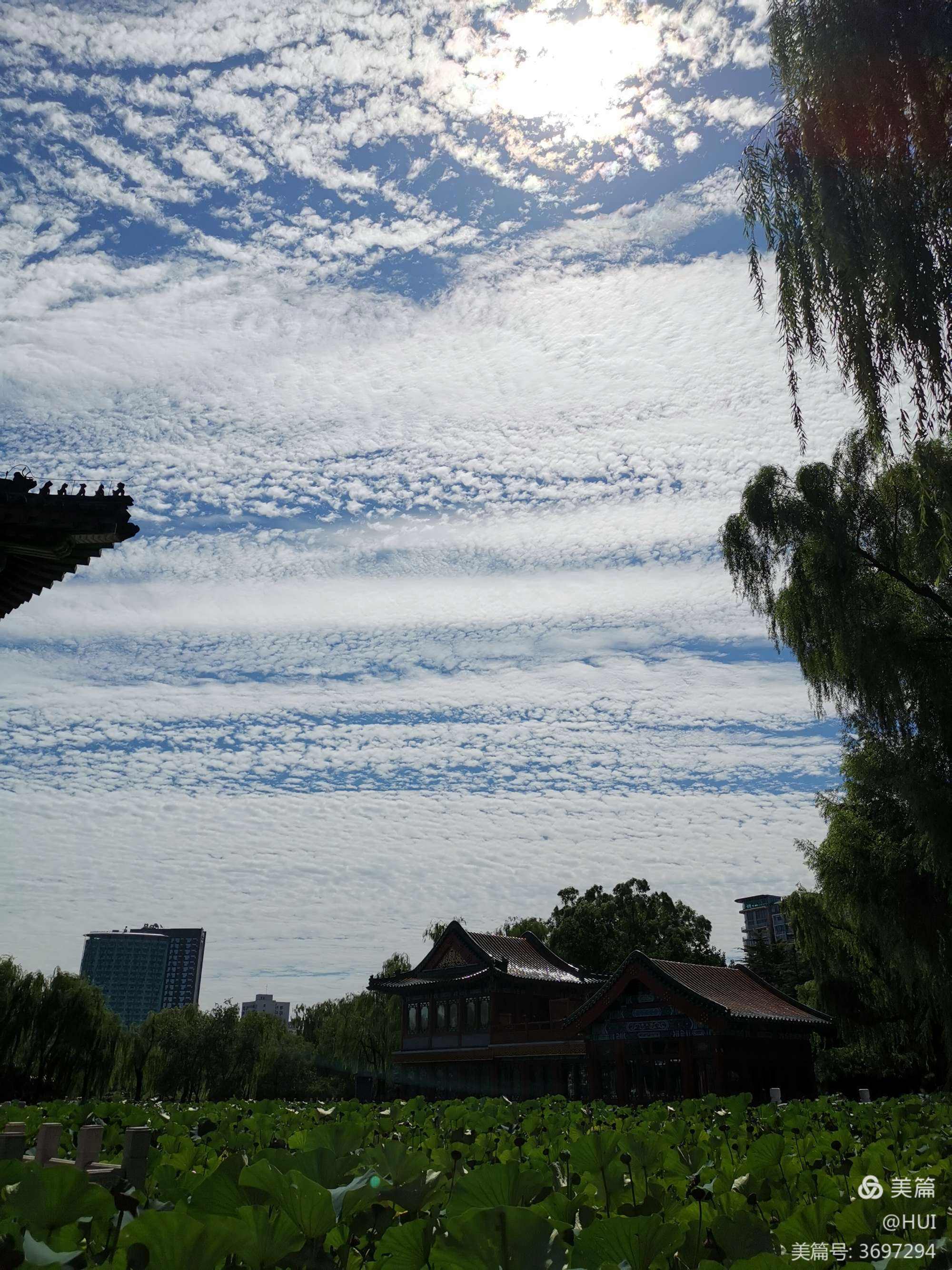 夜雨云商城_夜雨网络科技有限公司