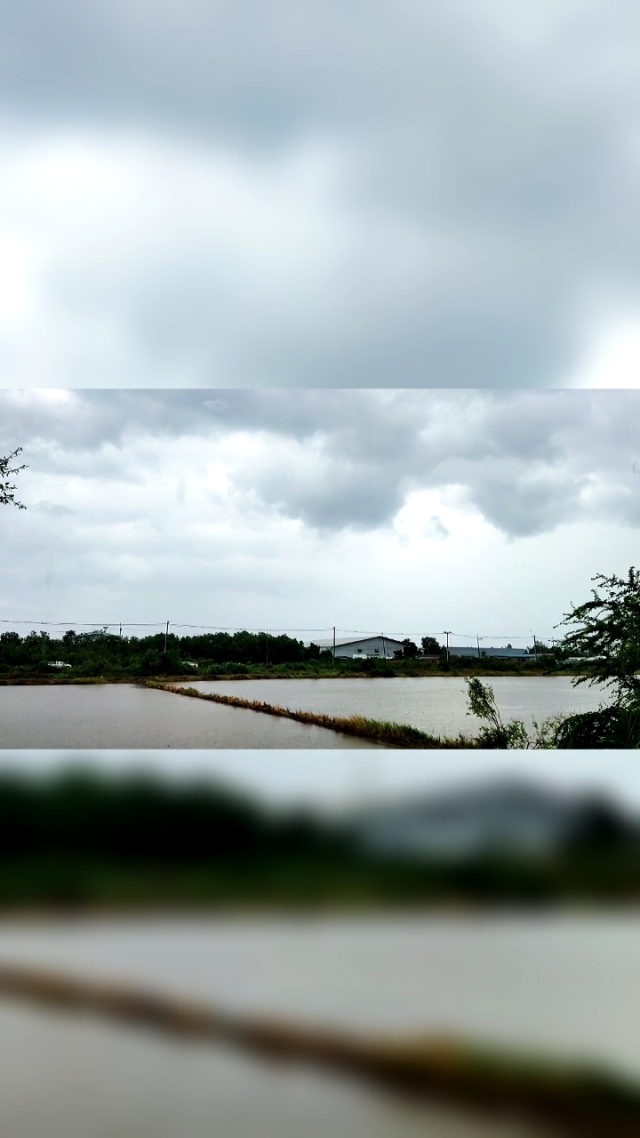 夜雨云商城_夜雨网络科技有限公司