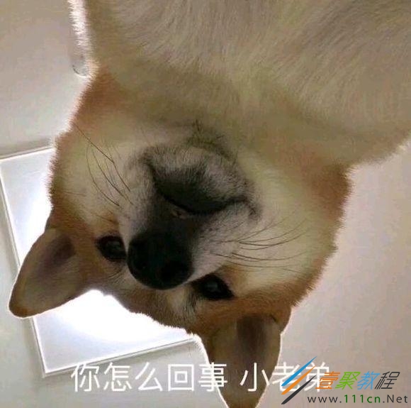 包含小老弟业务秒刷网的词条 包含小老弟业务秒刷网的词条