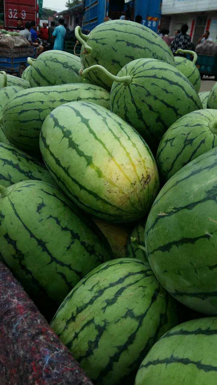 西瓜代刷网_西瓜代理api