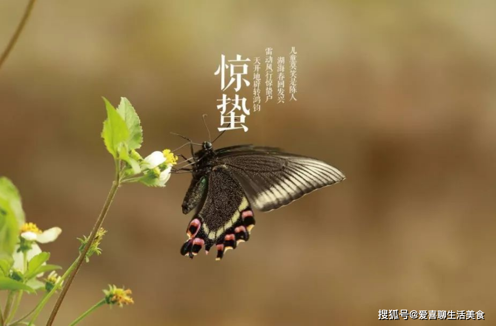 雷神代刷网站推广_雷神代刷网站推广怎么做 雷神代刷网站推广_雷神代刷网站推广怎么做