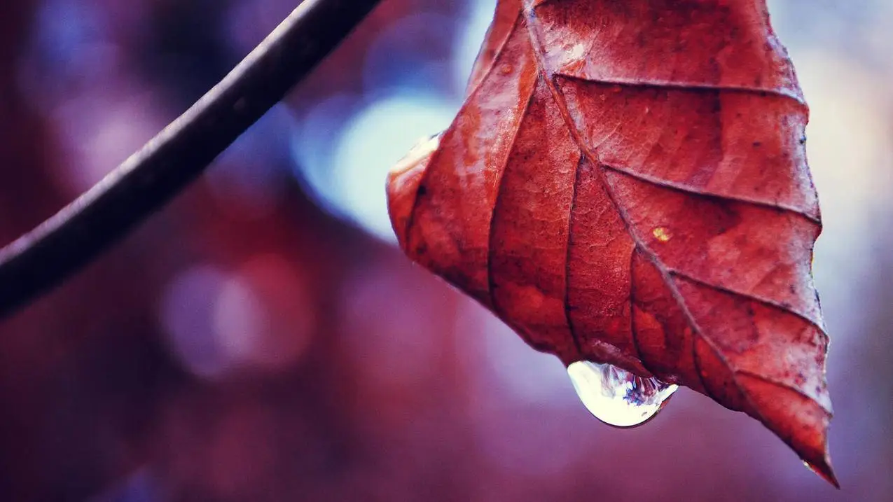 极速代刷网_代刷com网